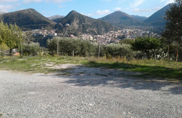 immagine annuncio