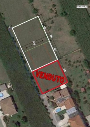 immagine annuncio