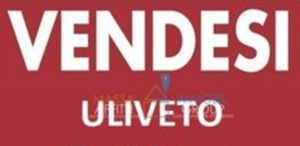 immagine annuncio