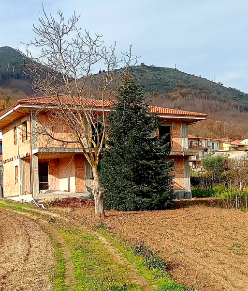 immagine annuncio