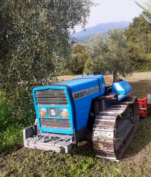 immagine annuncio